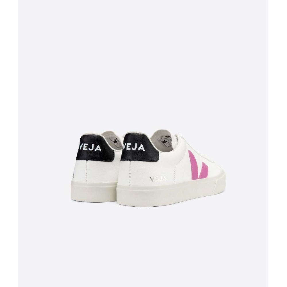 Veja CAMPO CHROMEFREE Low Tops Sneakers Női White/Purple | HU 597FDN